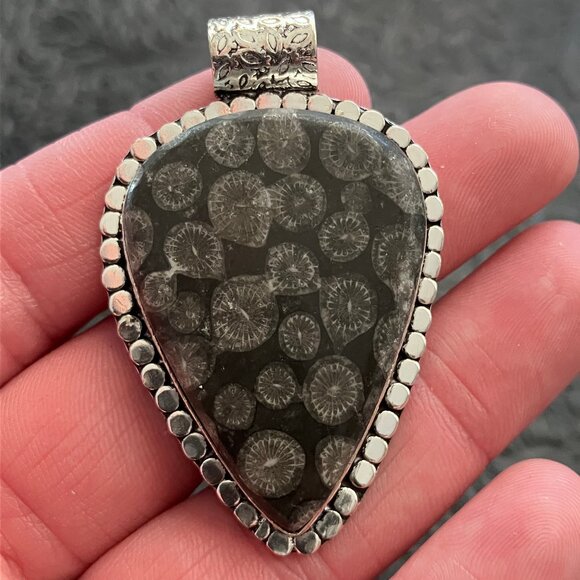 Agatized Coral Fossil Gemstone Stone Jewelry Crystal Pendant - Picture 1 of 6
